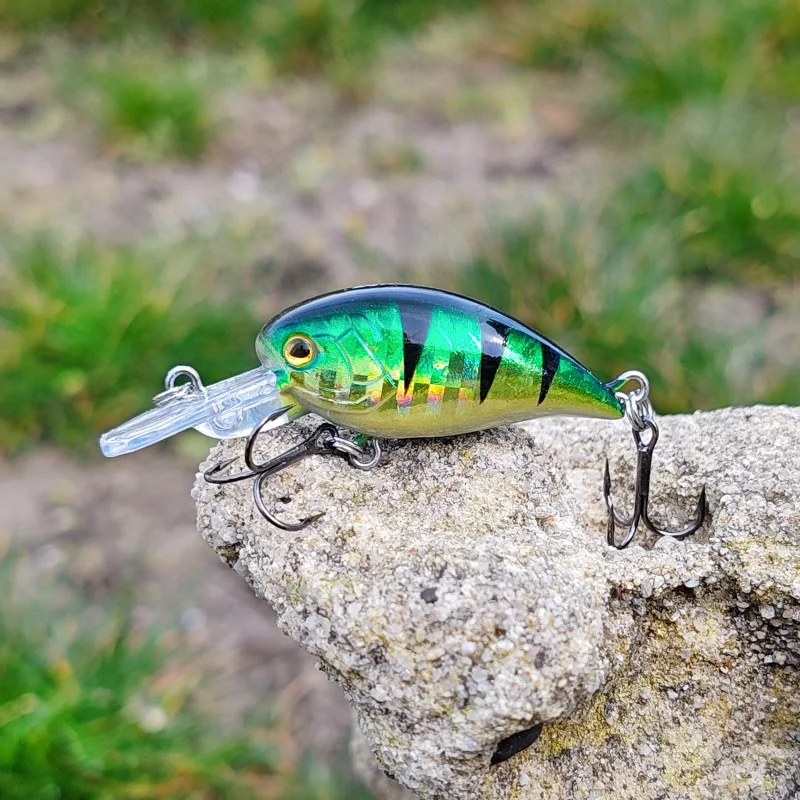 Воблери Воблер ROBINSON BUSTER / PE