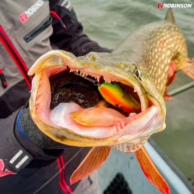 Воблери Воблер ROBINSON SNIPER S 70 / FT