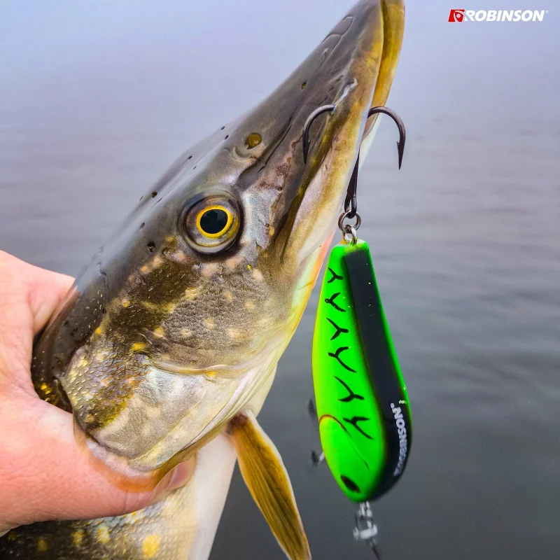 Воблери Воблер ROBINSON SNIPER S 70 / FT